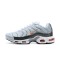 Nike Air Max Plus Tn Crater Šedá DA1500-100 Běžecké Boty Pánské