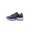 Nike Air Max Plus Tn Fialová Černá CD0609-024 Běžecké Boty Pánské