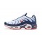 Nike Air Max Plus Tn QS Bílá Modrá and Červená Běžecké Boty Pánské